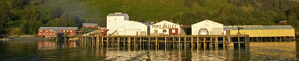 Port Bailey Banner